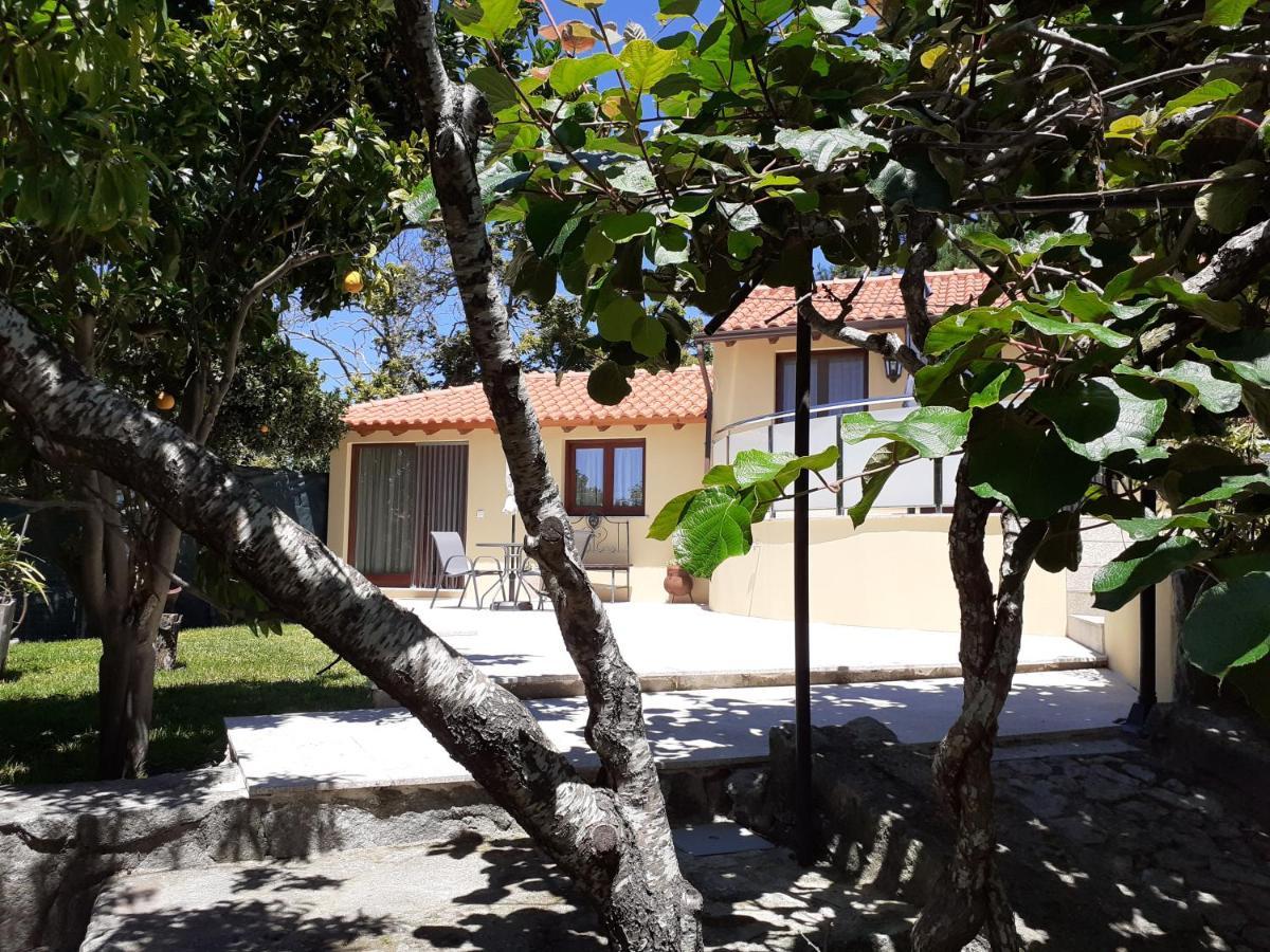 Casa De Santa Luzia A Apartment Vila Praia de Âncora Exterior foto